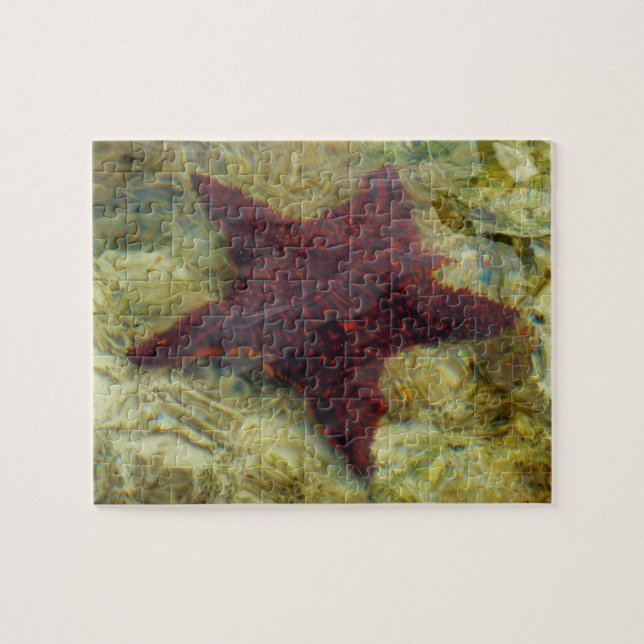 Unterwasser-Starfish auf den Bahamas Puzzle (Horizontal)