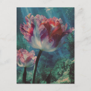 Unterwasser-Tulpe Postkarte