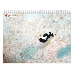 Unterwasser von Siquijor S- L Kalender