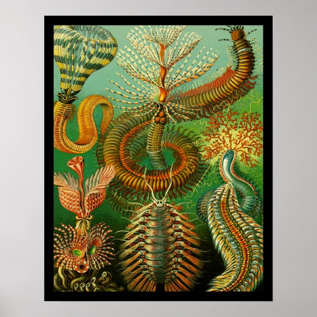 Unterwasserfarbe Poster (Vorne)