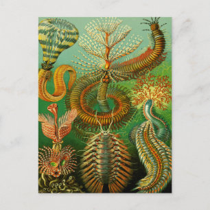 Unterwasserfarbe Postkarte