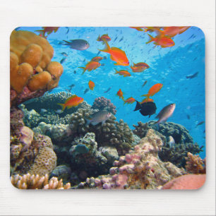 Unterwasserfische und Korallenschaukeln Mousepad