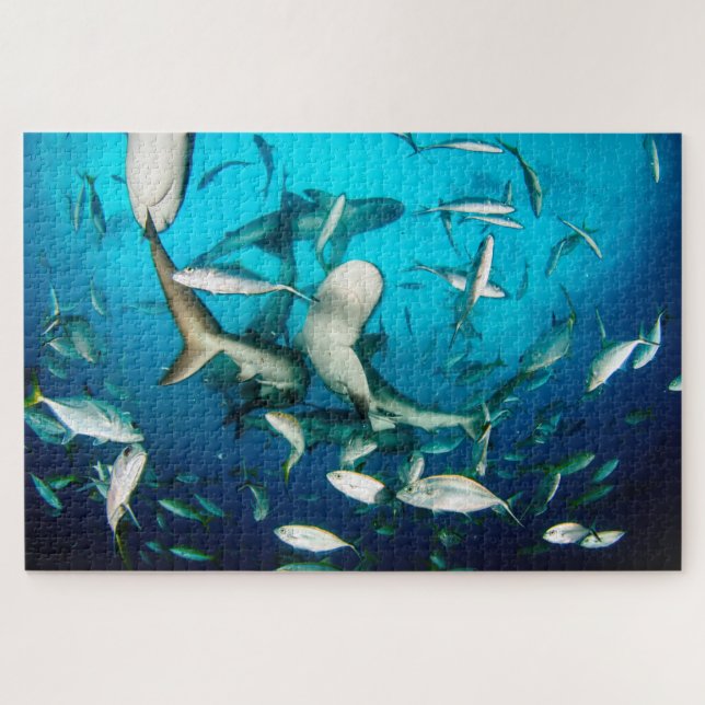 Unterwasserhaie-Wrenzy 20"x30" Puzzle (Horizontal)