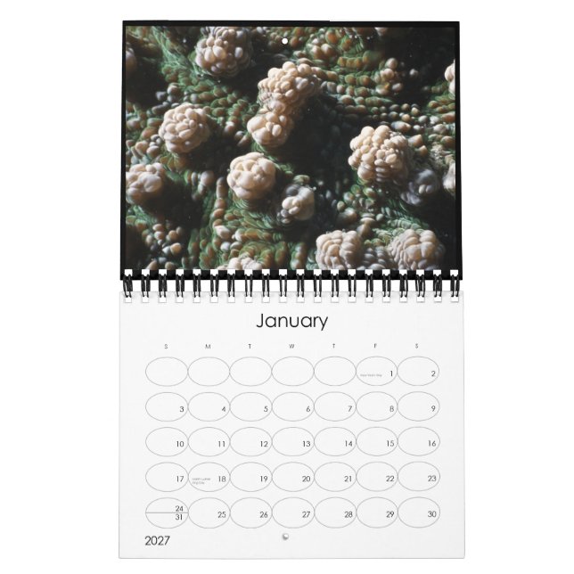Unterwasserkalender 2010 kalender (Jan 2027)