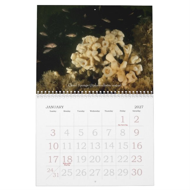 Unterwasserkalender der reise-2010 kalender (Jan 2027)