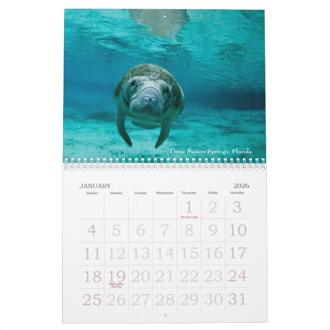 Unterwasserkalender der reise-2014 kalender (Jan 2026)