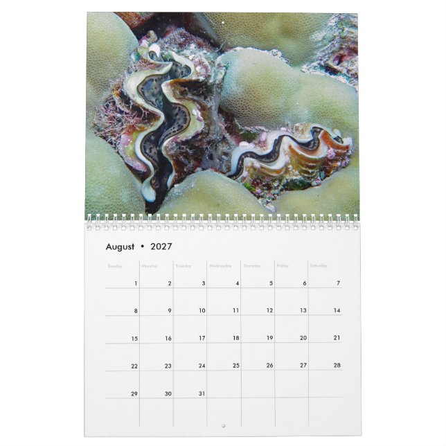 Unterwasserkalender — Palau Kalender (Aug 2027)