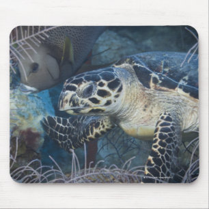 Unterwasserleben: Eine Hawksbill Meeresschildkröt Mousepad