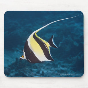 Unterwasserleben; FISCHE: Ein moorish-Idol Mousepad