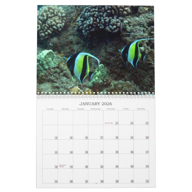 Unterwassermaui Kalender (Jan 2026)