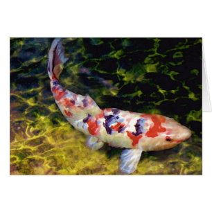 UnterwasserSanke Koi