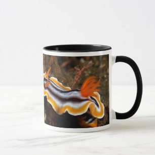 Unterwasserschnecke Tasse