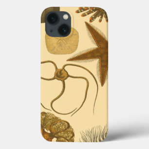 Unterwasserseegeschöpfe Case-Mate iPhone Hülle