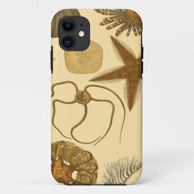 Unterwasserseegeschöpfe Case-Mate iPhone Hülle (Rückseite)