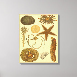 Unterwasserseegeschöpfe Leinwanddruck