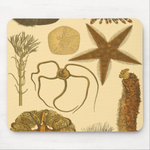 Unterwasserseegeschöpfe Mousepad