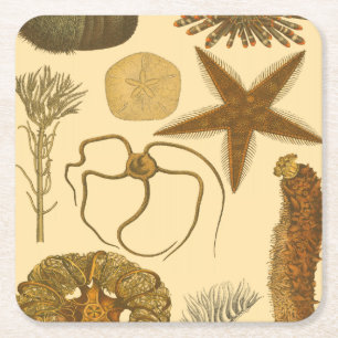 Unterwasserseegeschöpfe Rechteckiger Pappuntersetzer