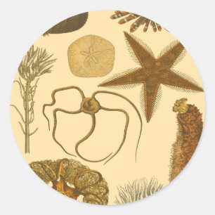 Unterwasserseegeschöpfe Runder Aufkleber