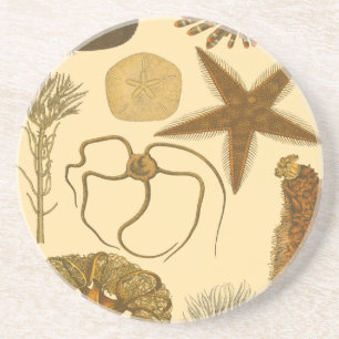 Unterwasserseegeschöpfe Untersetzer