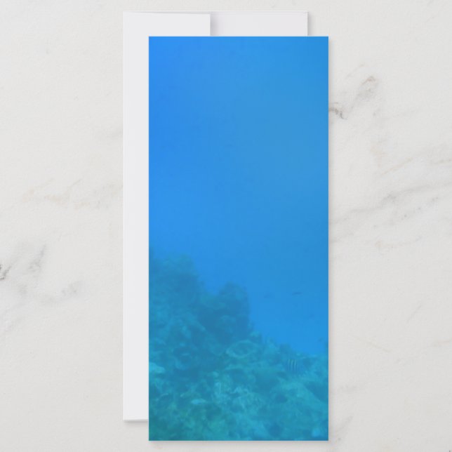 Unterwasserwelt (Vorderseite)