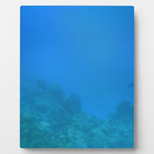 Unterwasserwelt Fotoplatte
