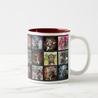 Unverschämte Chihuahua-Tasse Zweifarbige Tasse