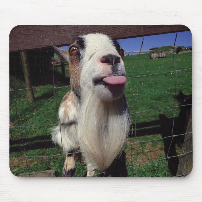 Unverschämte Ziegen-Mäusematte Mousepad (Vorne)