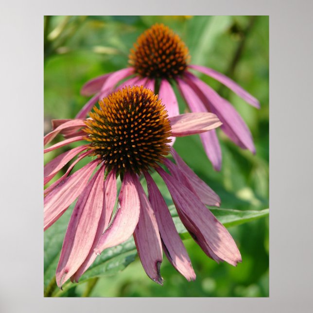 Unvollständigkeit Poster (Vorne)