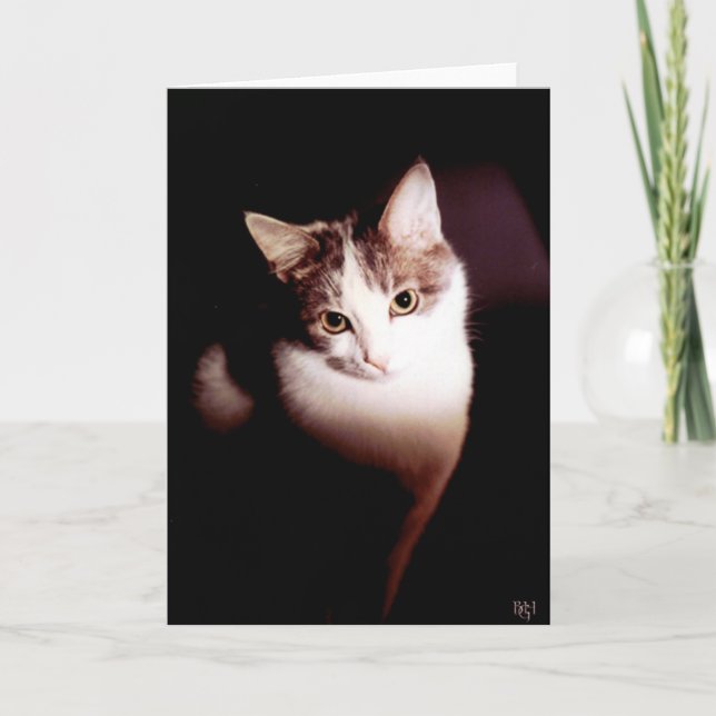 Unwiderstehlich Karte (Vorderseite)