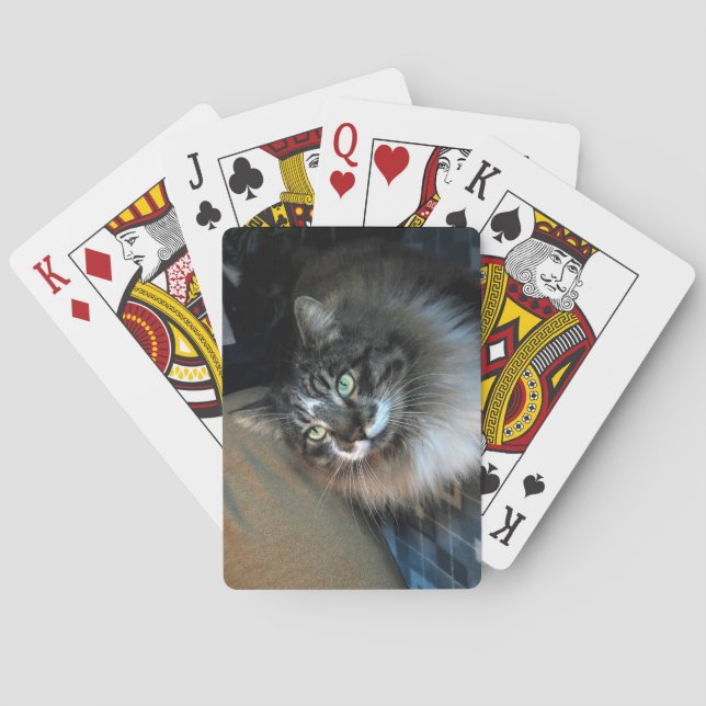 Unwiderstehliche Cat Bicycle Cards Spielkarten (Rückseite)
