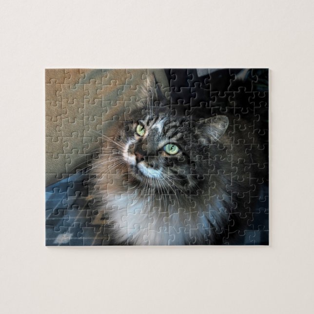 Unwiderstehliches Katze Zorro Puzzlespiel Puzzle (Horizontal)
