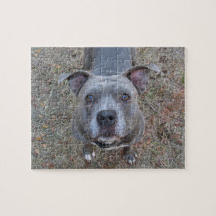 Unwiderstehliches Pitbull Puzzlespiel Puzzle