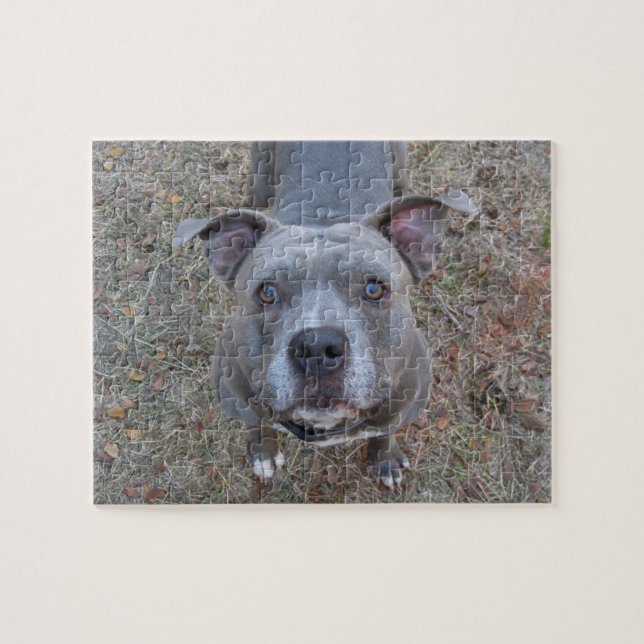Unwiderstehliches Pitbull Puzzlespiel Puzzle (Horizontal)