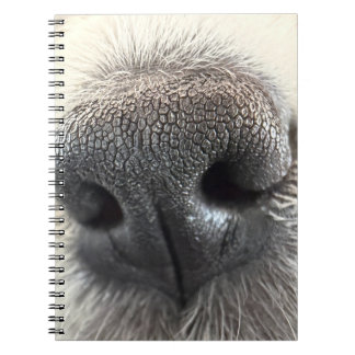 Unwiderstehliches Welpennase Notizbuch Notizblock