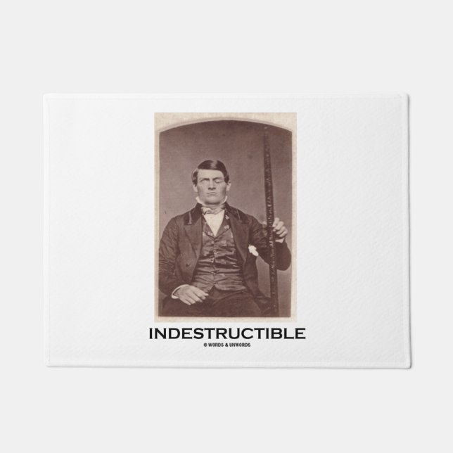 Unzerstörbarer Phineas Messgerät-Psychologie-Spaß Fußmatte (Vorderseite)