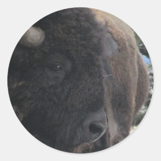 Up Close and Personal Runder Aufkleber