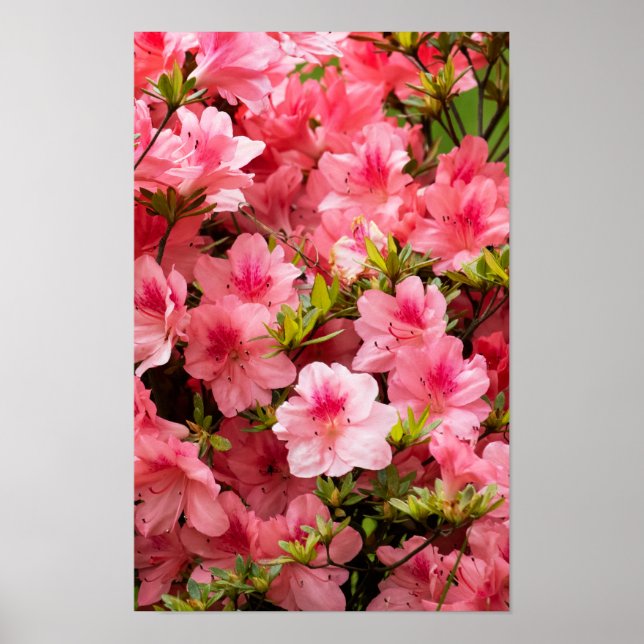 Up Close Poster (Vorne)