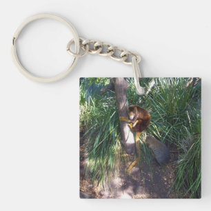"Up in Trees: An Australian Tree Kangaroo Climbs Schlüsselanhänger