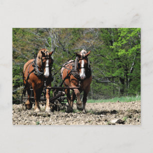 Uphill Postcard Postkarte