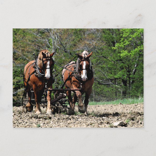 Uphill Postcard Postkarte (Vorderseite)