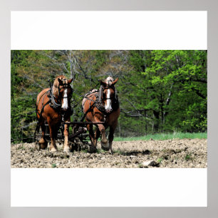 Uphill Poster/Print Poster