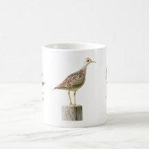 Upland Sandpiper Tasse