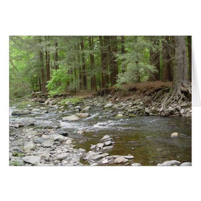 Upper Raymondskill Falls (Vorderseite (Horizontal))