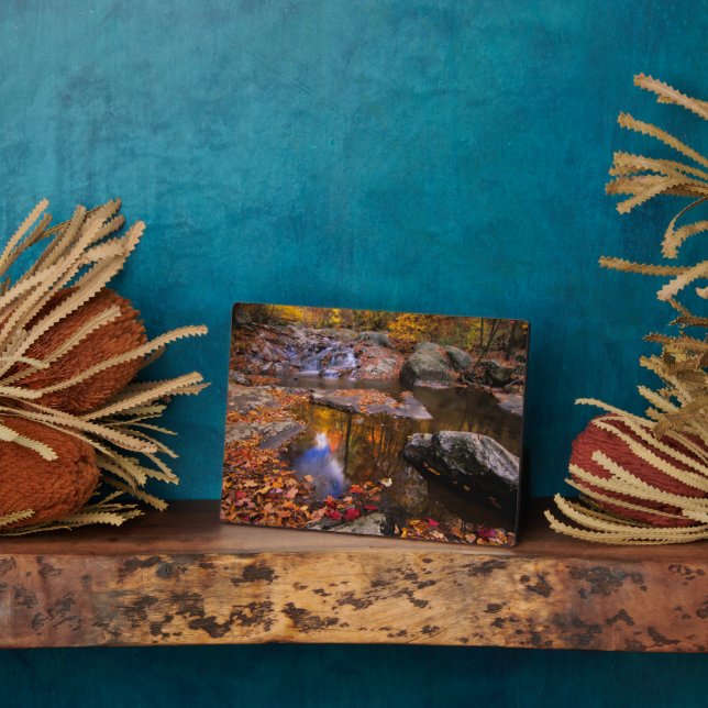 Upper Whiteoak Falls, Shenandoah National Park, VA Fotoplatte (Seite)