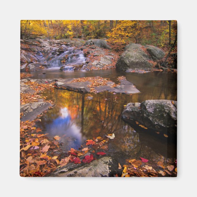 Upper Whiteoak Falls, Shenandoah National Park, VA Magnet (Vorne)