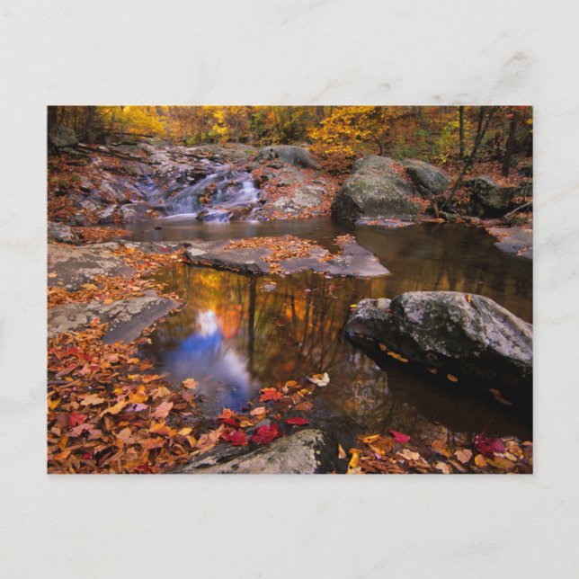 Upper Whiteoak Falls, Shenandoah National Park, VA Postkarte (Vorderseite)