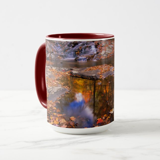 Upper Whiteoak Falls, Shenandoah National Park, VA Tasse (Vorderseite Links)