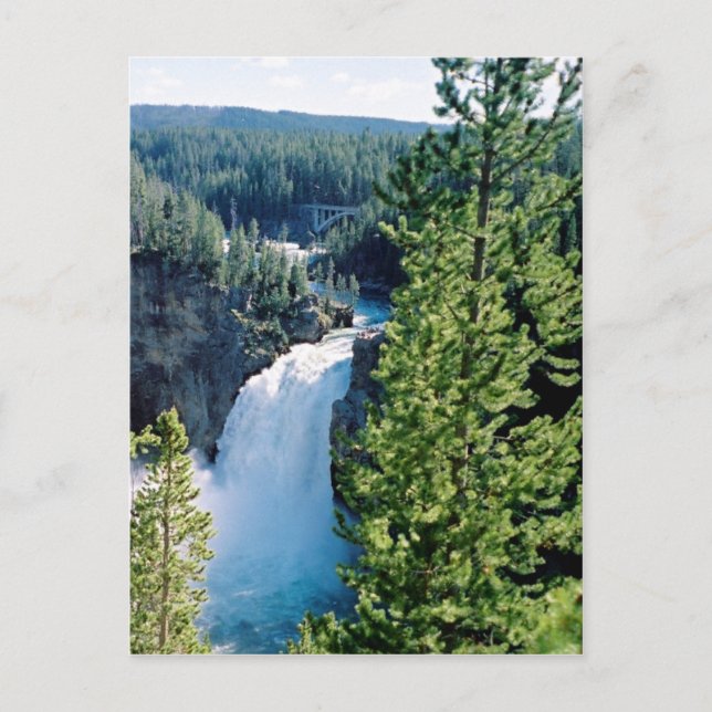 Upper Yellowstone Falls Postkarte (Vorderseite)