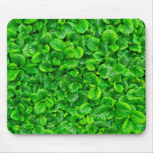 Üppige grüne Blätter  Mousepad
