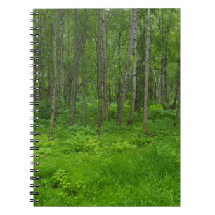 Üppige grüne Waldlandschaftsszene Notizblock